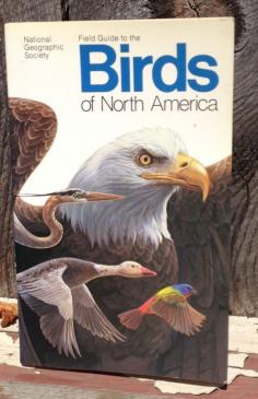 
                    
                        NATIONAL GEOGRAPHIC FIELD GUIDE TO THE BIRDS OF NORTH AMERICA, 2ND EDITION #Paperback
                    
                