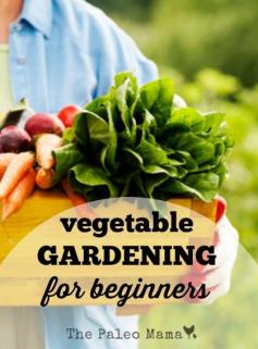 
                    
                        Vegetable Gardening for Beginners thepaleomama.com/...
                    
                