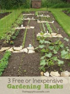 
                    
                        3 Free or Inexpensive Gardening Hacks
                    
                