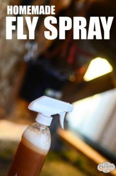 
                    
                        Homemade Fly Spray (that actually works!) | The Elliott Homestead (.com)
                    
                
