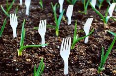 
                    
                        Prevent animals from getting into your garden by strategically placing plastic forks in the soil
                    
                