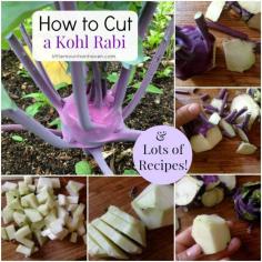 
                    
                        How to Cut a Kohl Rabi + LOTS of Recipes for Inspiration!
                    
                