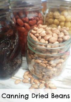 
                    
                        Canning dried beans makes them so much easier to cook later on.  Just open up and heat and eat!  The Homesteading Hippy #homesteadhippy #fromthefarm #canning #beans
                    
                