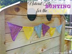
                    
                        Natural Fly Bunting for the Chicken Coop, Barn or Picnic Area
                    
                