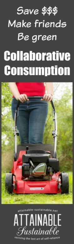 
                    
                        From bicycles to sewing machines, lawn mowers, and camping gear, sharing "big" items that are rarely used can save you bunches of money.
                    
                