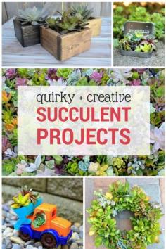 
                    
                        Tips on successfully planting succulents in any quirky container you can find + a whole bunch of creative ideas!  #succulents #ad
                    
                