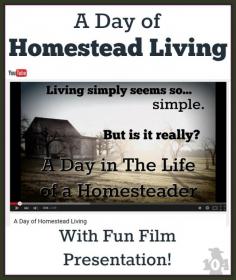 
                    
                        Often you see bloggers glorifying homestead living. I mean... simple living. How hard can it be to live simply? Maybe harder than you may think.
                    
                