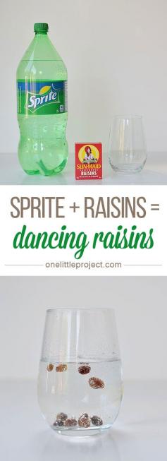 
                    
                        This dancing raisins experiment is SO EASY And it really works! Check out the video!
                    
                