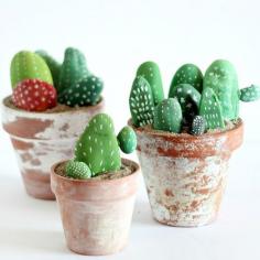 
                    
                        Painted Cactus Rocks &#8211; A Children&#8217;s Craft
                    
                
