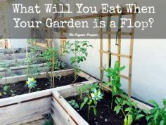 
                    
                        What Will You Eat When Your Garden is a Flop? | The Organic Prepper
                    
                