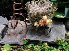 
                    
                        Metal Tricycle Bicycle Planter Wicker Basket FLOWER ARRANGEMENT GARDEN WHIMSY
                    
                