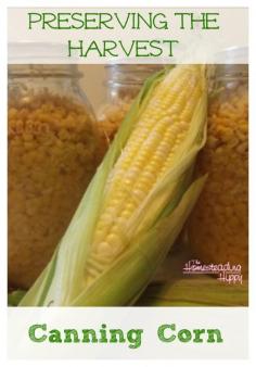 
                    
                        Sweet corn is in season!  While many typically freeze corn for later use, our lack of freezer space means we can ours.  It's simple and easy to do...here's how! ~The Homesteading Hippy #homesteadhippy #fromthefarm #prepared #preservingtheharvest
                    
                