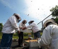
                    
                        7 Things Every Urban Beekeeper Needs So you’ve got the bees. Make sure you have these other things, too, to ensure your beekeeping journey is a success.
                    
                