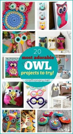 
                    
                        20 Most adorable DIY Owl projects to try
                    
                