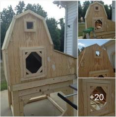 
                    
                        Free Chicken Coop Plans - I built this cool chicken coop in just 1 weekend. Inexpensive to build and looks great. You can download the plans to build your own chicken coop.
                    
                