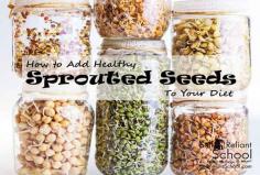 
                    
                        How to Add Healthy Sprouted Seeds To Your Diet
                    
                