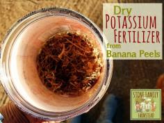 
                    
                        Creative ideas for dry banana peels  on Front Porch Friday | PreparednessMama
                    
                