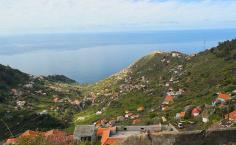 
                    
                        8 Things to Know About Madeira Island in Portugal
                    
                
