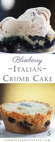 
                    
                        Blueberry Italian Crumb Cake
                    
                