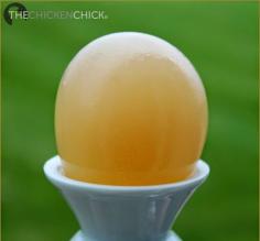 
                    
                        These soft-shelled eggs feel like water balloons. This egg was the first laid by my Easter Egger, Lucy.
                    
                