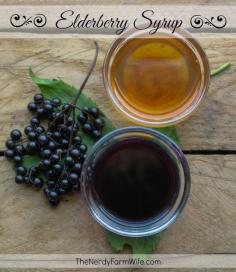 
                    
                        How to Make Homemade Elderberry Syrup for Cold & Flu Season
                    
                
