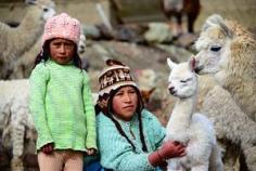 
                    
                        Alpacas and girls in Bolivia
                    
                