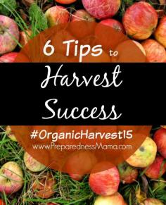 
                    
                        6 Tips for Harvest Success #OrganicHarvest15 | PreparednessMama
                    
                