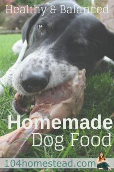 
                        
                            Do you want your pet dog to receive the right amount of nutrition he needs and save money at the same time? Why not try preparing a healthy homemade dog food?:
                        
                    