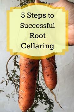 
                    
                        5 Simple Steps to start storing food with root cellaring
                    
                