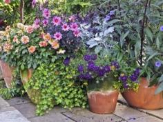 
                    
                        Container Garden Arrangements: Container Gardening Ideas And  -  Container gardens are a great idea if you don’t have the space for a traditional garden. Even if you do, they’re a good addition to a patio or along a walkway. Click this article to learn how to plant a container garden.
                    
                