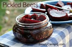 
                        
                            Pickled Beets A hint of cinnamon makes this pickled beets recipe a winner. If you don't like cinnamon.. just leave it out.  The spices can be adjusted safely but not the vinegar ratios.
                        
                    