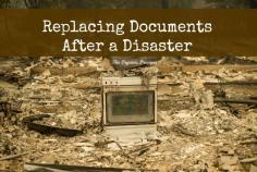 
                        
                            Replacing Documents After a Disaster - The Organic Prepper
                        
                    