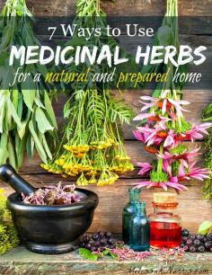 
                        
                            7 ways to use medicinal herbs in your natural, preparedness, and survival medicine chest! Great list of herbs and the ways to prepare them for different ailments. Grab this now so you're ready before you need it!
                        
                    