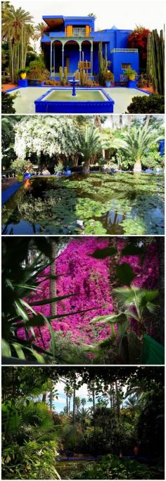 
                    
                        The Majorelle Garden, Marrakesh
                    
                