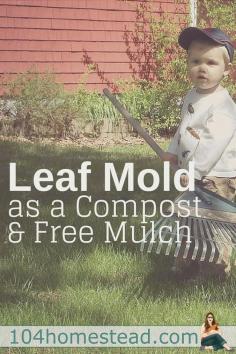 
                    
                        Making leaf mold isn't a quick process. It takes time, but the results are worth the wait. It adds compost to the soil and it acts as a free mulch material.:
                    
                
