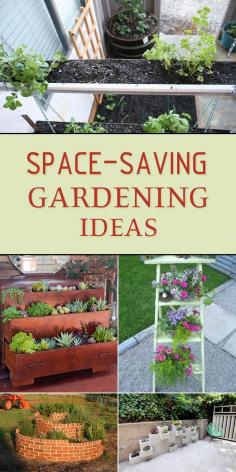 
                        
                            For those of you who live in smaller spaces, but still want to indulge your green thumb, here are some great ideas to help you start a garden even in the smallest places! #gardening
                        
                    