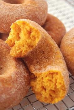 
                        
                            Baked Pumpkin Doughnuts by kingarthurflour #Doughnuts #Pumpkin
                        
                    