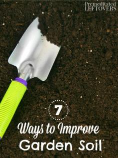 
                        
                            7 Ways to Improve Garden Soil- With a little organization and helpful neighbors you can improve your home garden soil for free. Learn how with these 7 frugal, DIY gardening tips.
                        
                    