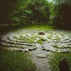 
                        
                            "Lithic #fairyring or #druid remnants. #forrest #green #trees #nature"
                        
                    