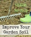 
                        
                            4 Reasons to improve your garden soil this winter | PreparednessMama
                        
                    