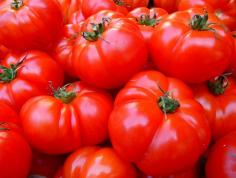 33 little known high-value vegetables that will profit you | Hort Zone
