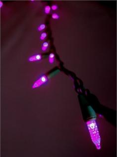 This is our LED M6 string light set in the purple color. Our purple LED lights will brighten up any holiday display or event. This string light has a non removable high quality LED light bulb. This set is UL Listed and rated for indoor and outdoor use. Product Details: - Includes 70 LED Purple Bulbs - 4.8 Watts Per Set - Commercial Rated with Non-Removable Bulbs - Green Cord w/ UL Listed Male and Female Plug - Bulb Size 0.875"L - Connects End to End - Full Wave Technology - No Flickering of Lights - String Length - 23' 8" Green Cord with 4" Spacing Between Bulbs. - Includes Extra Fuse - If One Bulb Burns Out - Rest Of String Will Stay Lit - UL Listed For Indoor/Outdoor Use