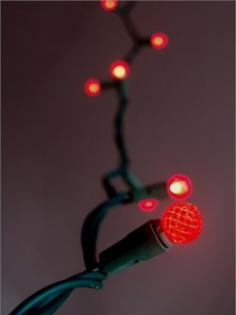 This is our LED G12 raspberry string light set in the red color. Our red LED lights will brighten up any holiday display or event. This string light has a non removable high quality LED light bulb. This set is UL Listed and rated for indoor and outdoor use. Product Details: - Includes 70 LED Red Bulbs - 4.8 Watts Per Set - Commercial Rated with Non-Removable Bulbs - Green Cord w/ UL Listed Male and Female Plug - Bulb Size 0.375"D - Connects End to End - Full Wave Technology - No Flickering of Lights - String Length - 23' 8" Green Cord with 4" Spacing Between Bulbs. - Includes Extra Fuse - If One Bulb Burns Out - Rest Of String Will Stay Lit - UL Listed For Indoor/Outdoor Use