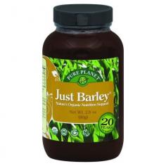 Just Barley Green Juice Nutrition from a Higher Source. Drinking Barley Green Juice has been commonly recommended by persons who study natural healing techniques. In recent years it has become popular among those seeking a potent source of the antioxidant and phytochemical properties attributed to deep green leafy vegetables. In todays world eating right is becoming more and more difficult. It is no surprise that people who use Just Barley feel it is the best thing they have done for themselves in a long time! Easy to use and surprisingly palatable Just Barley is grown from select organic seeds at over 5000 ft. elevation in the mineral rich soil of an ancient volcanic lake bed. Just Barley is irrigated by pure mineral water and harvested at the peak of nutrition. Just Barley is processed on site and is guaranteed to be 100% pure green barley juice extract (dehydrated at 88 o F to lock in nutritional potency). Just Barley is: 100% Barley Green Extract no additives of any kind; 100% Certified Organic; Not pasteurized or agglomorated; Affordable; Going to be your favorite green drink. Just Barley contains NO binders fillers sweeteners or additives of ANY kind. Barley Grass is naturally rich in copper potassium calcium iron manganese zinc enzymes and chlorophyll. Directions: One rounded teaspoon of Just Barley twice daily on an empty stomach. To avoid rapid detoxification start with 1/2 teaspoon of Just Barley gradually working up to the full dosage. In a shaker mix 1 rounded teaspoon of Just Barley with 6 oz. of juice or water or mix 1 rounded teaspoon of Just Barley with 2 oz. of liquid and then add remaining 4 oz. of liquid. Nutrition Facts: Serving Size: 1 tsp (1 g). Servings Per Container: About 80. Amount Per Serving / %DV: Calories 3. Total Carbohydrate 0.5 g 4%. Protein 280 mg.