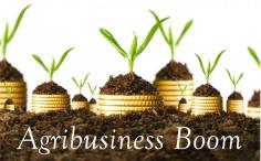 17 Reasons Why Your Agribusiness is Doomed! | Hort Zone