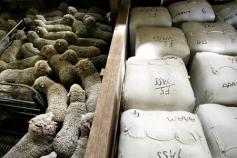 Local wool market enjoys solid recovery - Agriculture - Sheep - Wool - Farm Weekly
