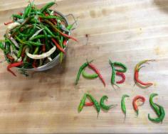 peppers spell abc acres
ABC acres, much like the animals and plants that reside on the farm, is itself a living and breathing entity.  ABC acres, though in its infancy, has taken almost 20 years to get to this point.  Tim and Sarah, owners of ABC acres, have been on this journey for those many years… growing as people, defining what it means to be healthy, and developing a regenerative approach to farming and family.

After already having made a commitment to organic foods and sustainable life choices, they were introduced to the concept of Permaculture by good friend Grant Shadden in the summer of 2011.  Permaculture, though described in many ways, can be defined as a design science that implements agriculture practices in a way that mirror natural ecosystems resulting in abundant yields with minimal amounts of care, inputs and management.
