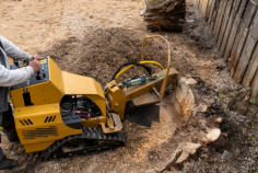 If you are looking for a Stump Grinding Team in Sydney. Sydney Urban Tree Services has provided Stump Grinding services in sydney. We Have 10 years of experience in the tree industry. Our team can work on any property, big or small, in Sydney. We are fully insured, licensed, and in full compliance with Australian Standards. Please visit our websites for more details!
https://sydneyurbantreeservices.com.au/stump-grinding-sydney/