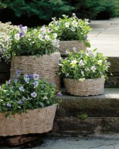 Pansies in #DIY wicker. | Image via: Martha Stewart