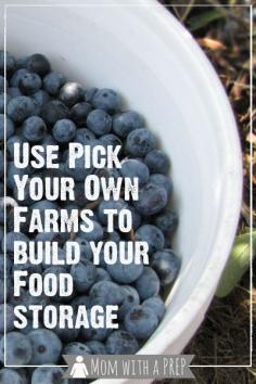 Even if you do not have a fully stocked garden producing all of your food needs for the  year, you can take advantage of Pick Your Own Farms to bring fresh produce into your house to preserve and build your food storage!  #realfood #organic #pyo